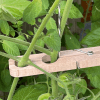 Maison Marie Tounette - Droguerie naturelle - Lyon - Exterieur et loisirs - Exterieur - Jardin - Outils de jardinage