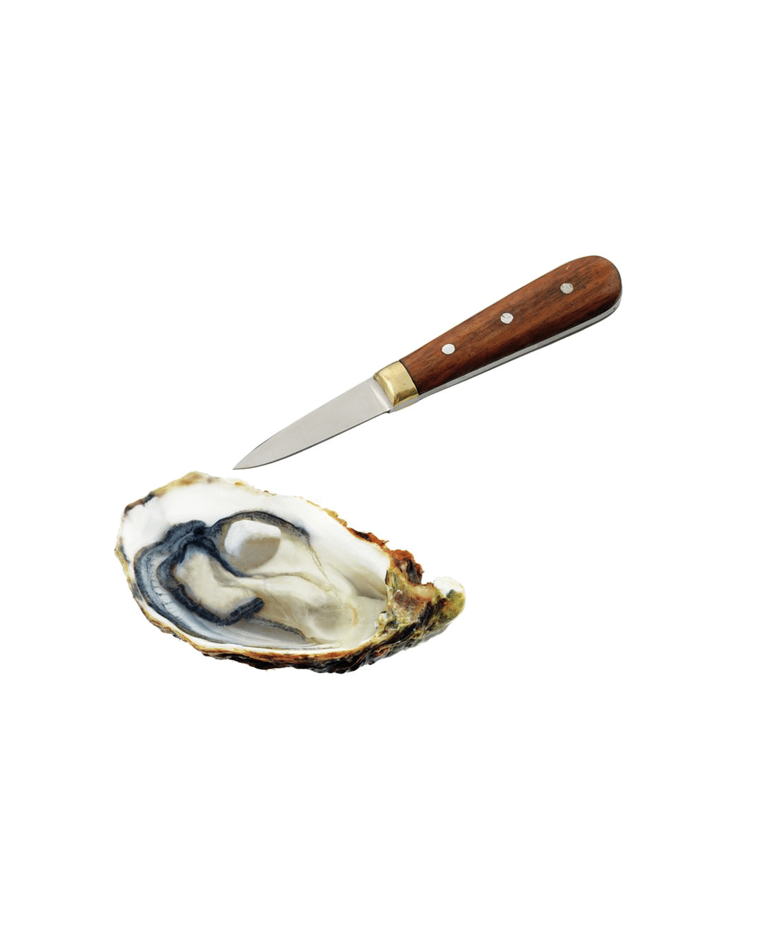 Achetez ouvre huîtres quasi neuf, annonce vente à Bron (69) WB168699191